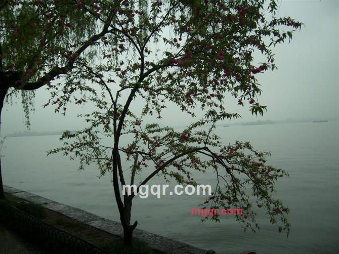 吾爱87的第9张照片