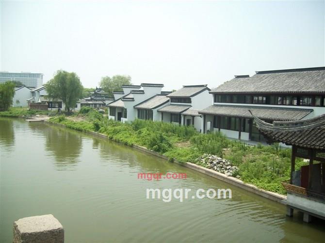 吾爱87的第8张照片