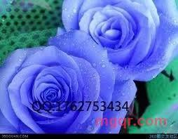 千年一见的第2张照片