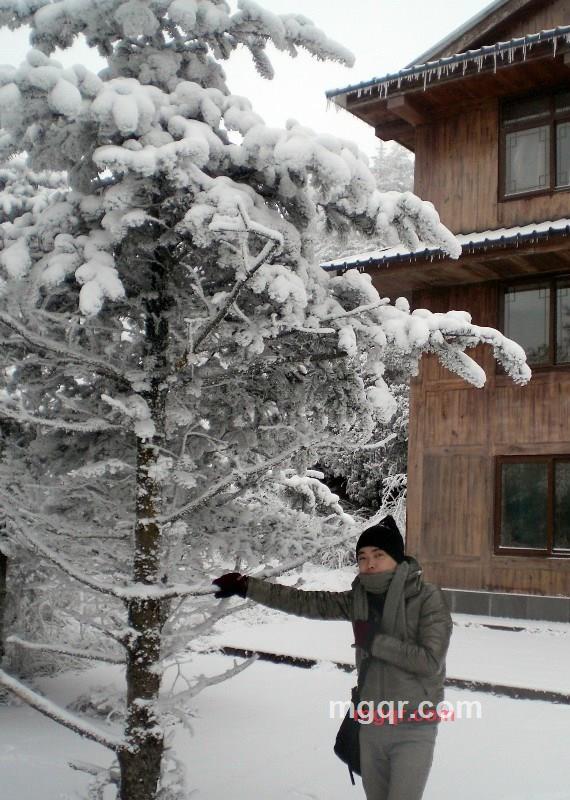 七八壹9壹5叁思4的第1张照片