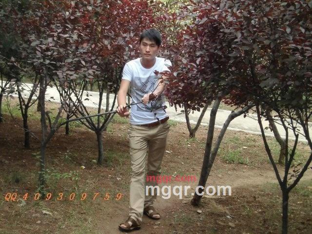 醉解红颜的第3张照片