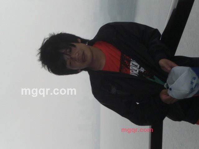 流浪的猫爱吃鱼的第2张照片