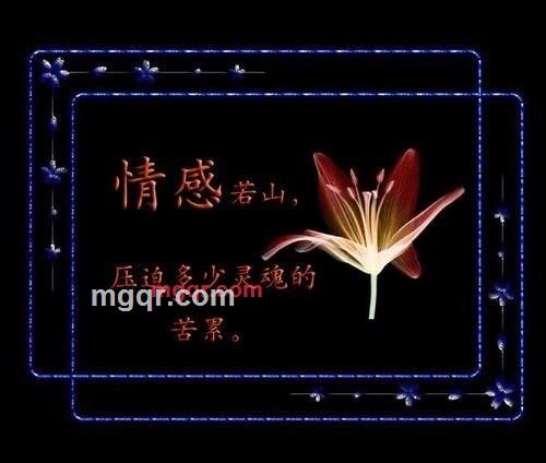 阳光LOVE的第3张照片