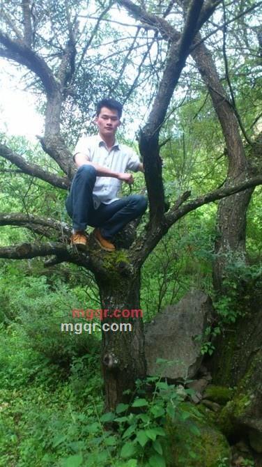 sunny wait的第1张照片