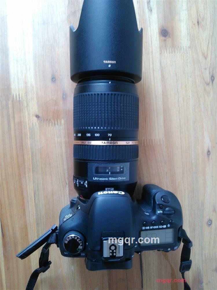 中子的第6张照片