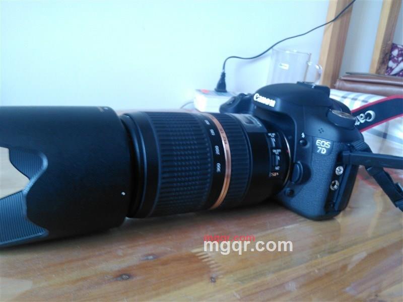 中子的第5张照片