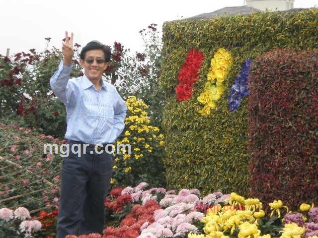 情海归帆的第7张照片