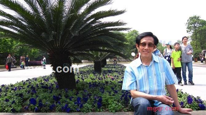 情海归帆的第3张照片