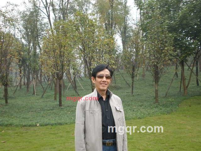 情海归帆的第2张照片