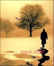 carlantoine的第1张照片