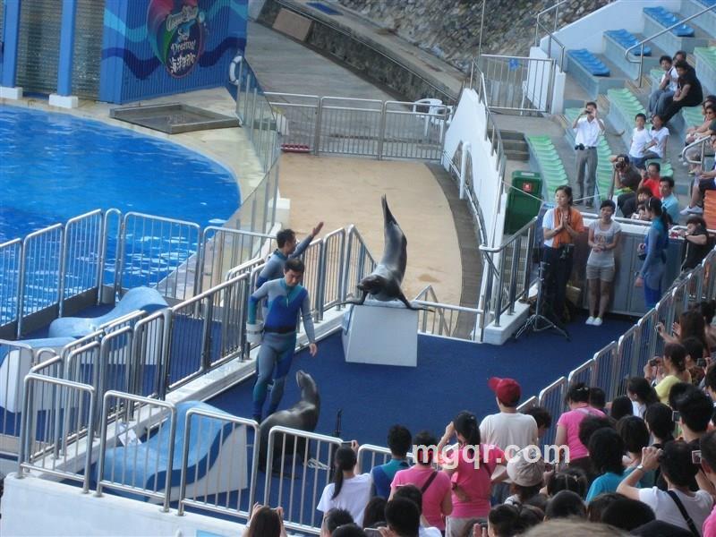 潜水码头的第1张照片