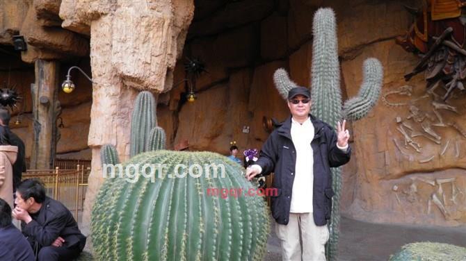 ajieke的第187张照片