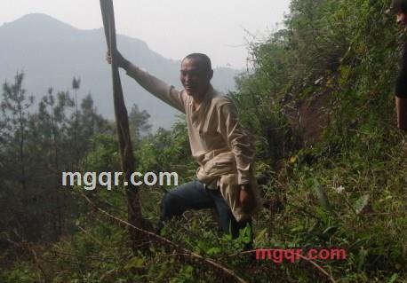 laoqiao12345的第1张照片