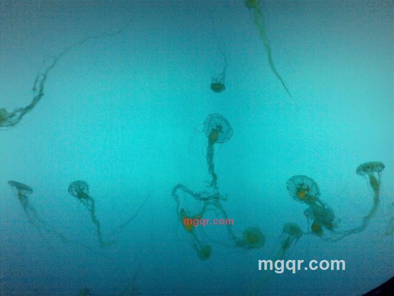 诱惑同城的第1张照片