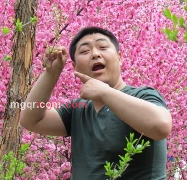 心力憔悴的第2张照片