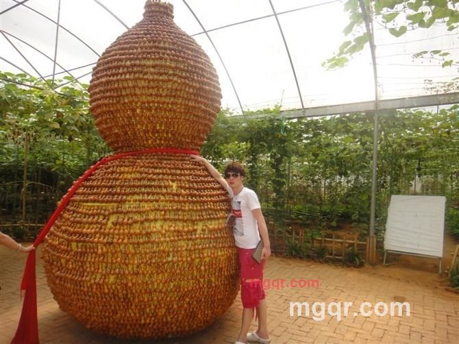 xiaolongai的第1张照片