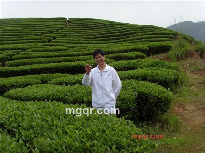 我一直在等待你的出现的第1张照片