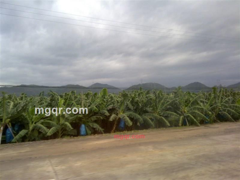 冰箱里的蛋的第6张照片