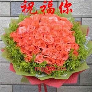 pnkl520的第1张照片