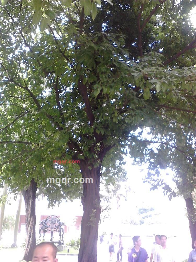 淼淼先生的第13张照片