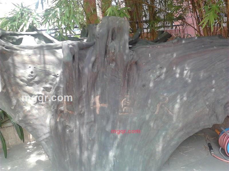 淼淼先生的第10张照片