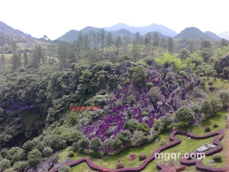 淼淼先生的第6张照片