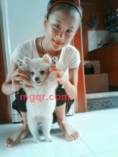 小彡的第6张照片