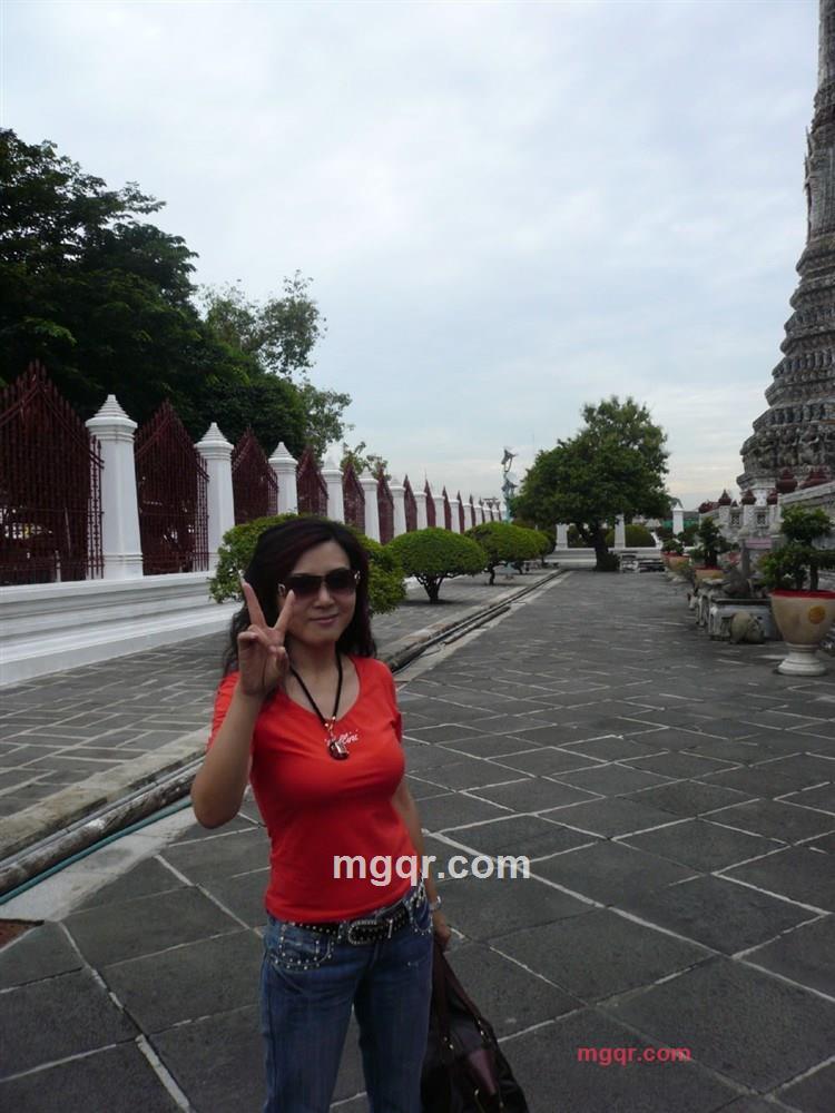 黄色郁金香的第1张照片