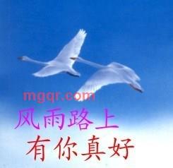 幸福银星的第7张照片