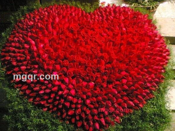 幸福银星的第1张照片