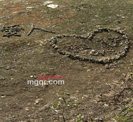 无暇的第1张照片