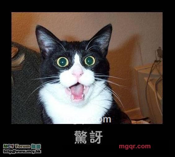 JERREY2012的第5张照片