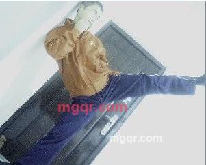 ヽ哪葮凊、巳的第1张照片