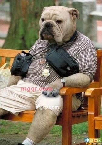 JERREY2012的第4张照片