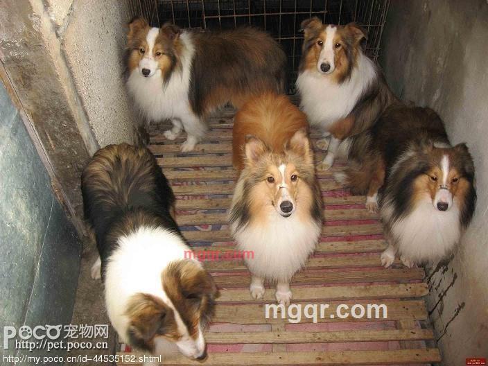 JERREY2012的第3张照片