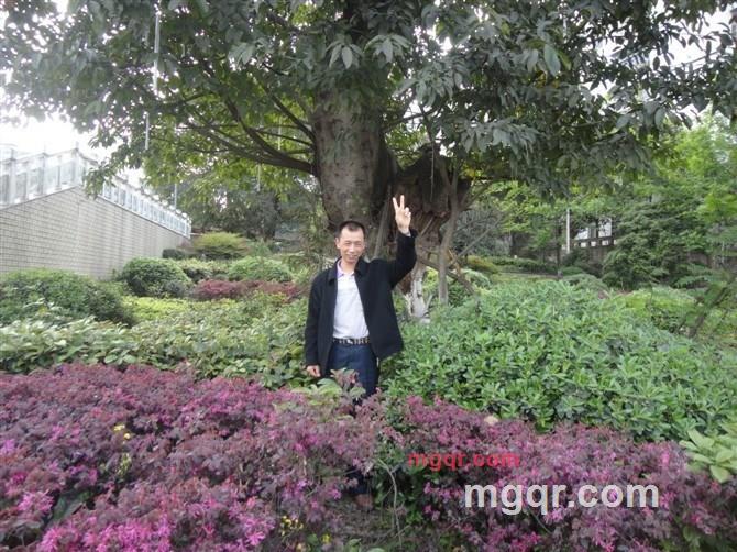 sqzrwlw的第1张照片