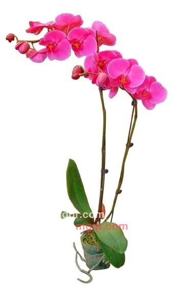 冉风的第2张照片