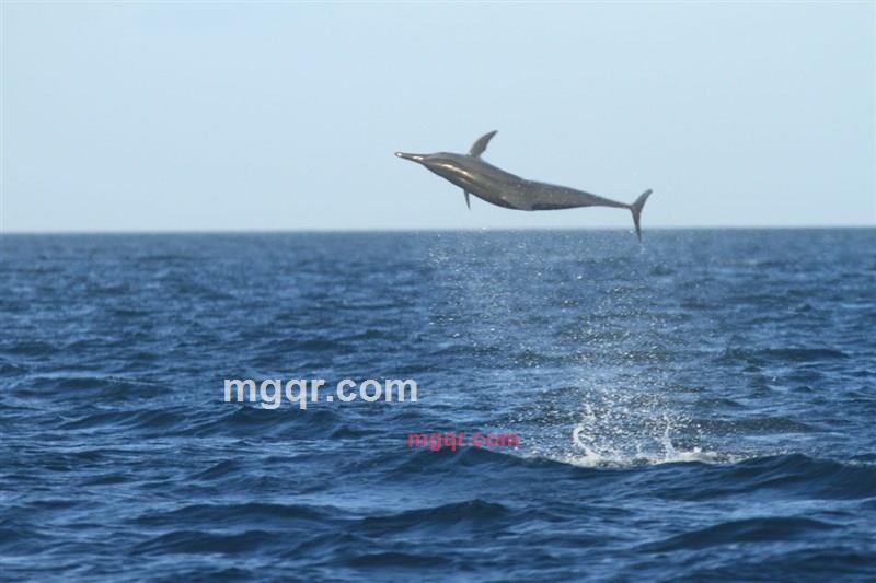 fhqsw的第2张照片