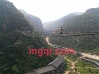 唯有等待的第11张照片