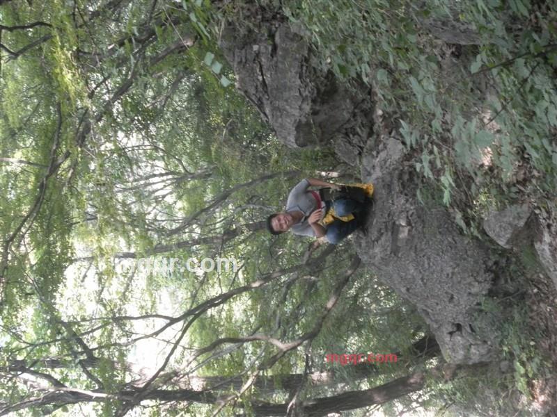 唯有等待的第1张照片