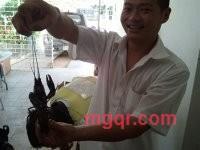 狂风2的第2张照片