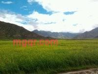 忧伤、谁懂的第2张照片