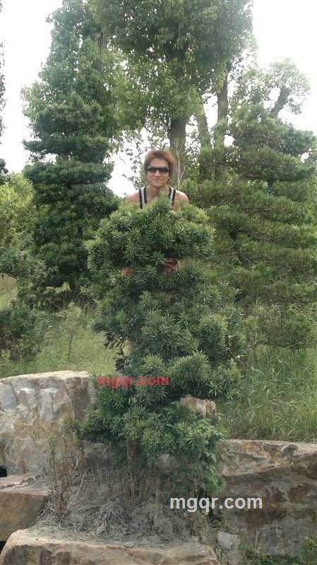 牛奶加**面包的第5张照片