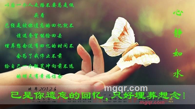 念倪的第4张照片