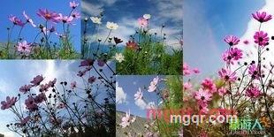 haoren7-1的第44张照片