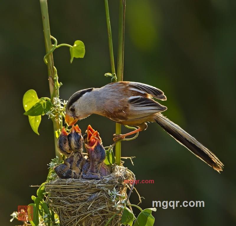haoren7-1的第40张照片