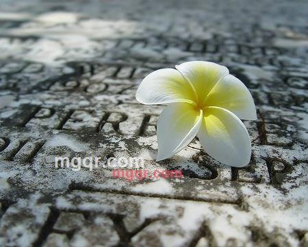 忘了和你说的第10张照片