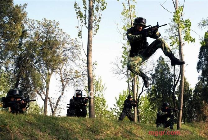 你说了算哦的第1张照片