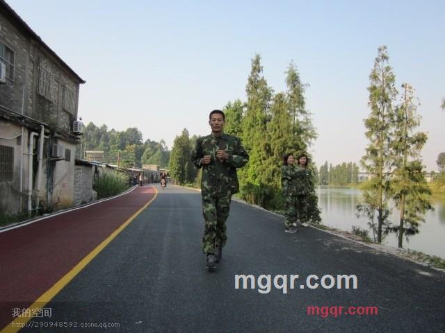 ★老树★的第1张照片