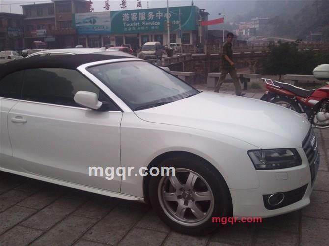 龙腾四海9999的第1张照片